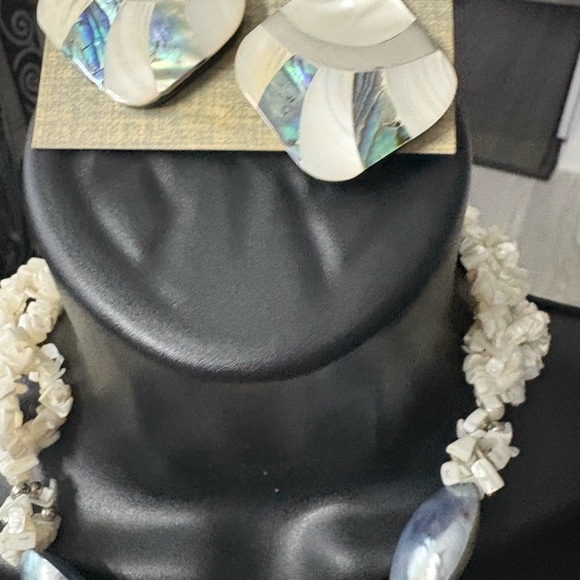 New 2 Piece Mother of Pearl & Abalone Necklace with Matching Earring - Picture 4 of 15